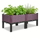 Dwellcozy plastic garden bed with plants.