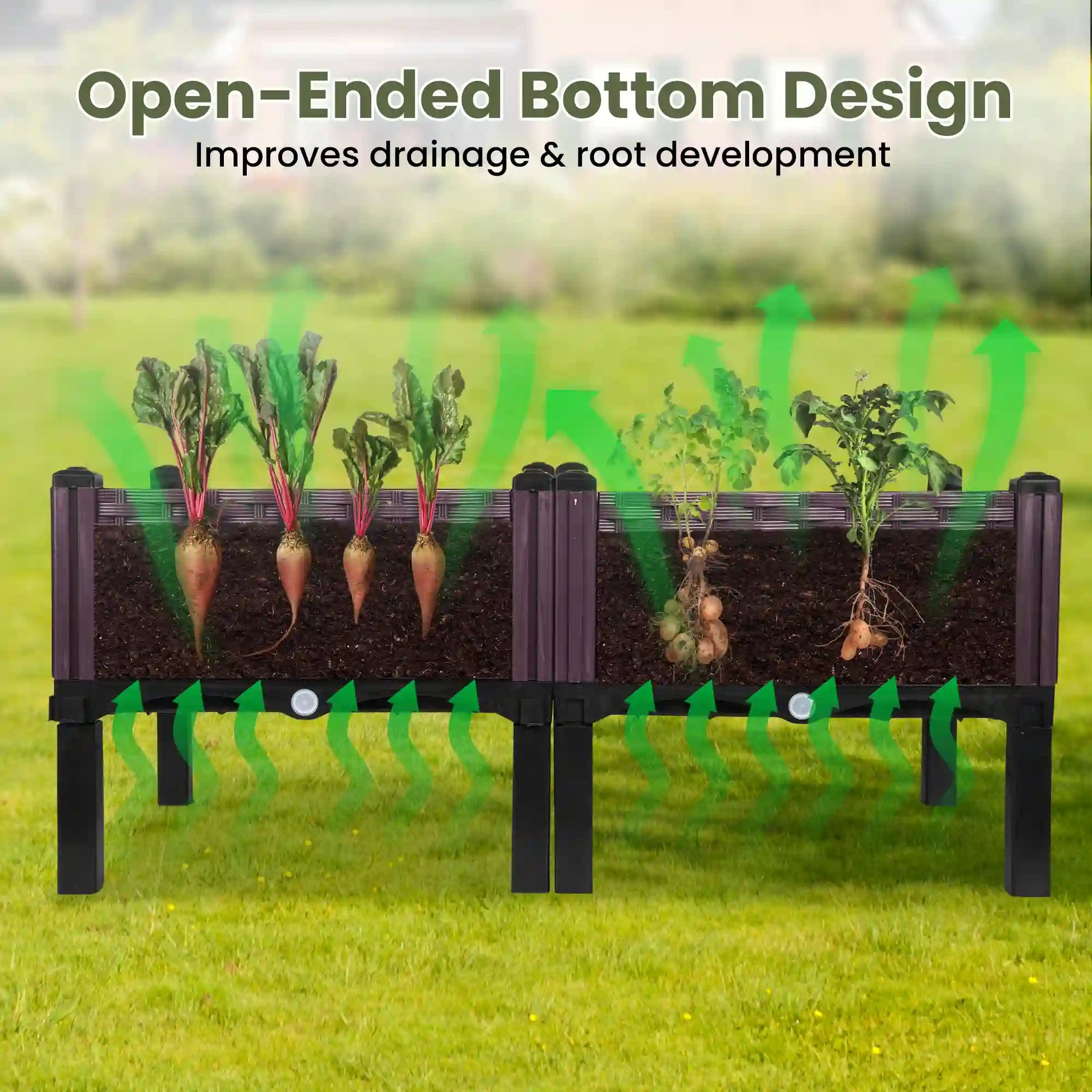 Dwellcozy plastic garden bed with plants, open-ended bottom design benefits.