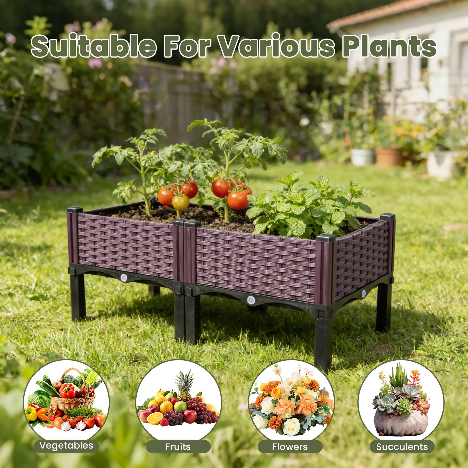 Dwellcozy plastic raised garden bed with plants in a garden, suitable for various plants, including vegetables, fruits, flowers, and succulents.