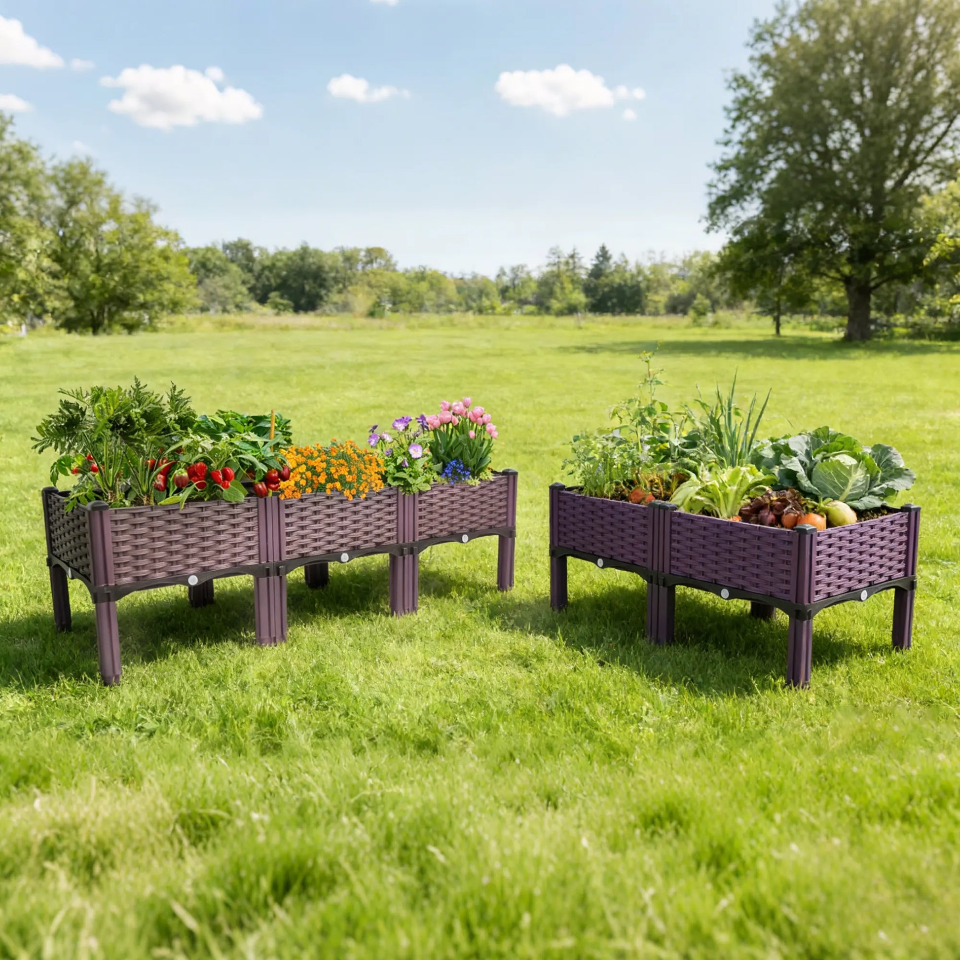 Dwellcozy 2 plastic raised garden beds with plants on a grassy field.