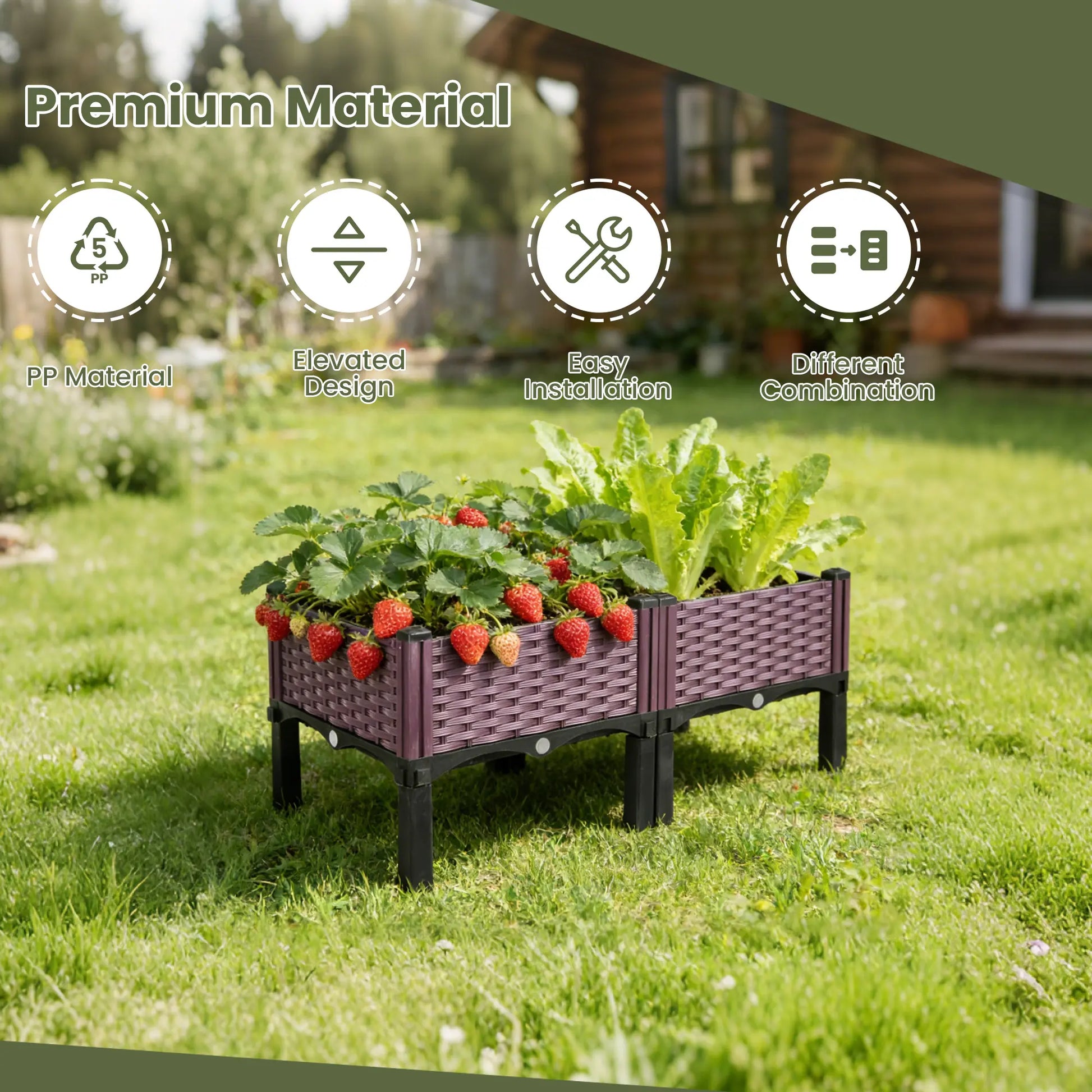 Dwellcozy plastic raised garden bed with strawberries and lettuce on grass, featuring about material, design, installation, and combination.