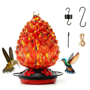 Dwellcozy Hummingbird Feeder for Outdoors Hanging