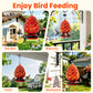 Dwellcozy Hummingbird Feeder for Outdoors Hanging