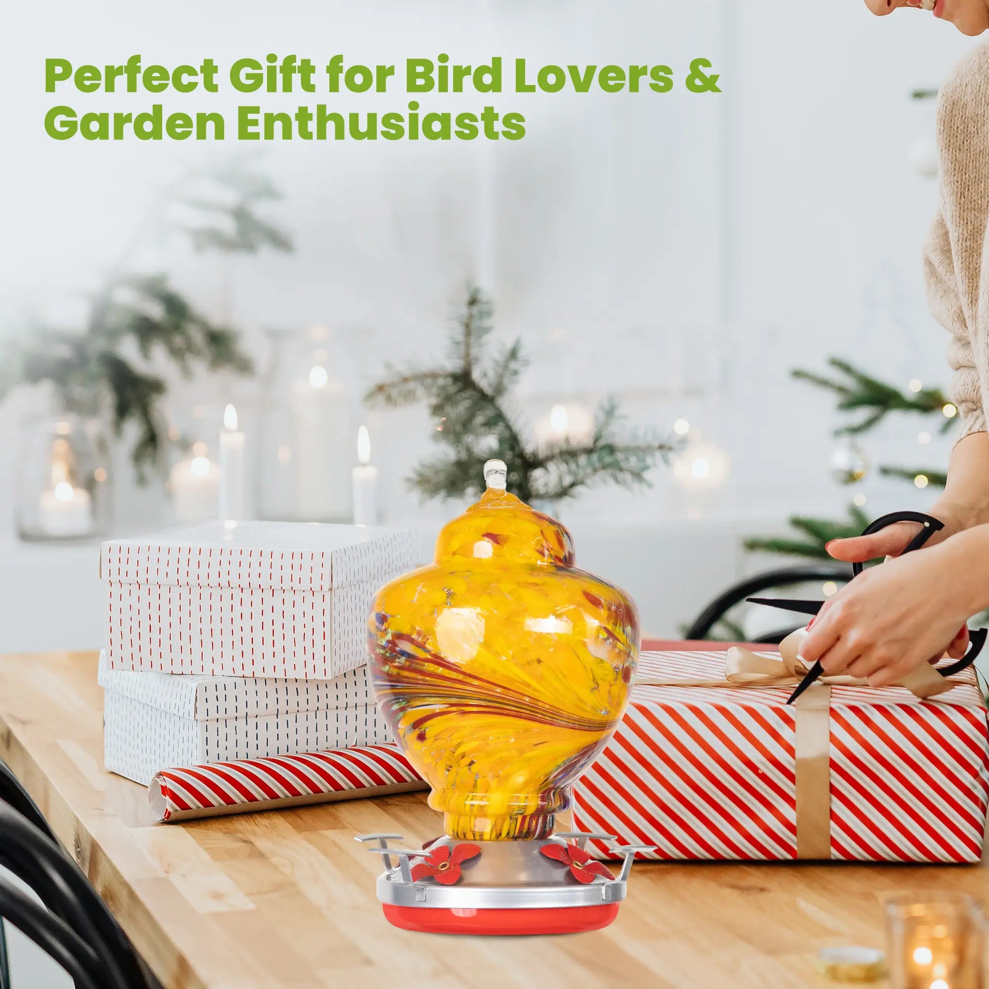 Dwellcozy glass bird feeder is a perfect gift for bird lovers & garden enthusiasts.