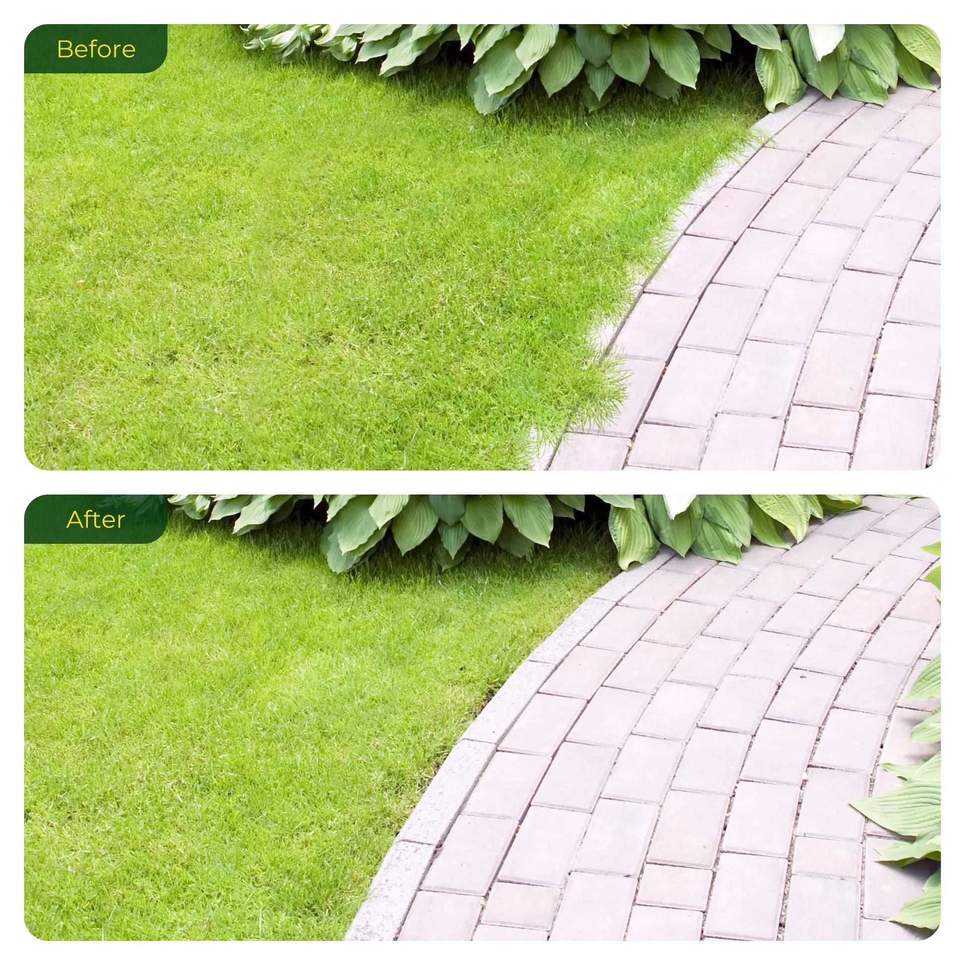 Before and after comparison of a garden path with grass and plants for the Dwellcozy edger lawn tool.
