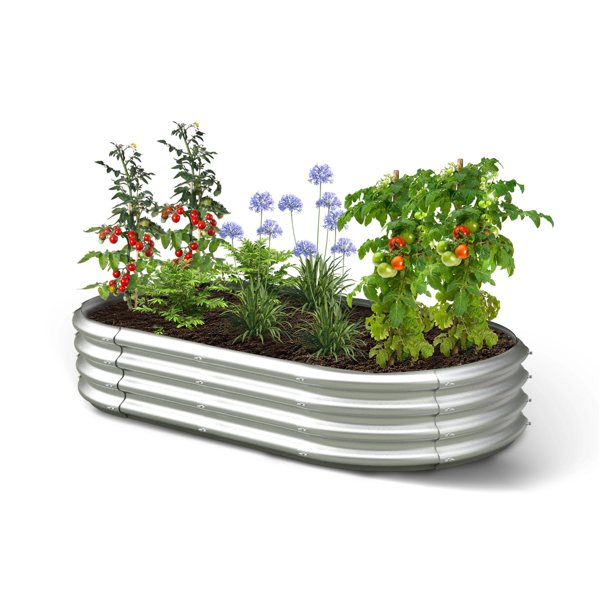Dwellcozy Metal raised garden bed with plants and flowers on a white background