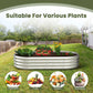 Dwellcozy metal raised garden bed is suitable for various plants, including vegetables, fruits, flowers, and succulents.