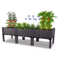 Dwellcozy plastic raised garden bed with plants on a white background.