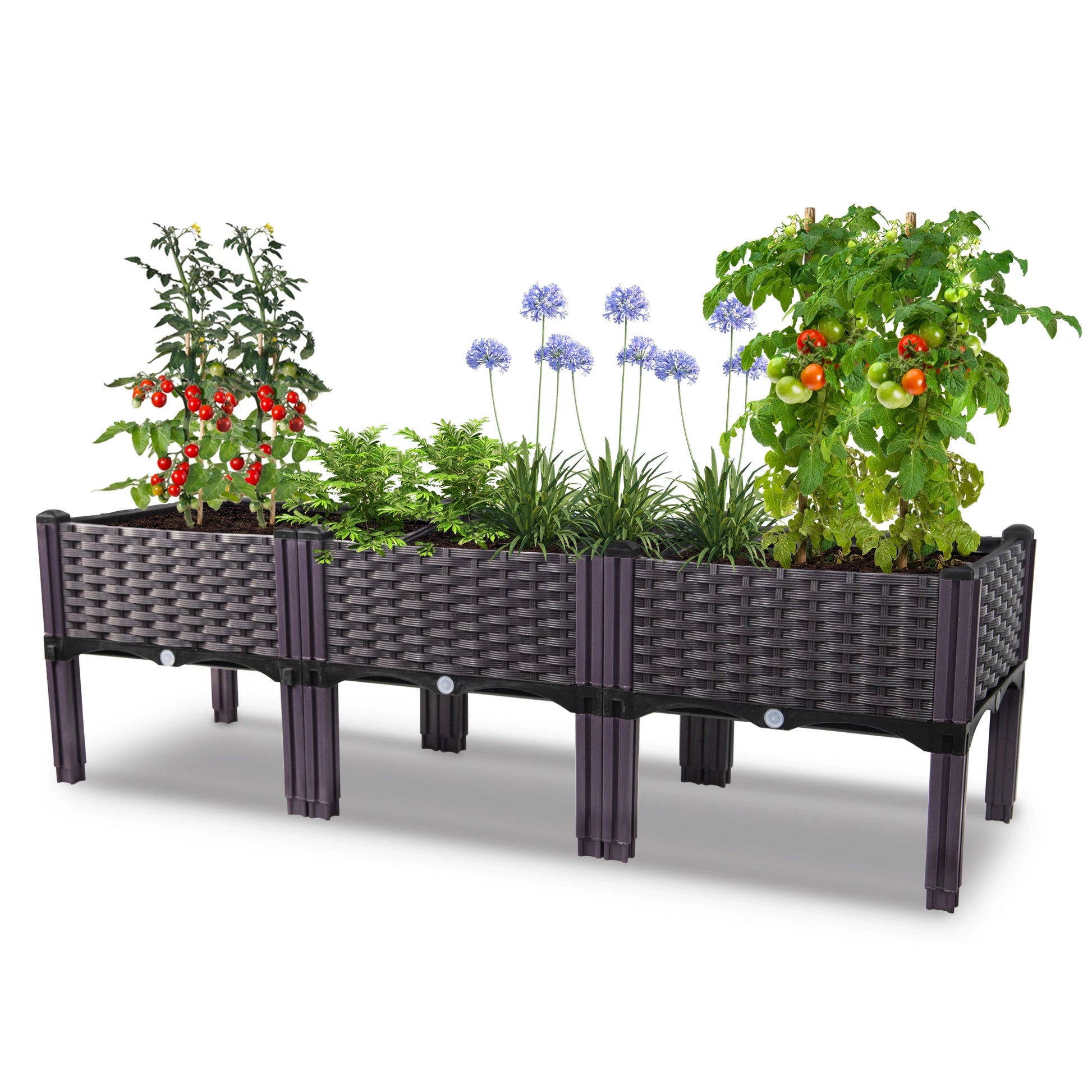 Dwellcozy plastic raised garden bed with plants on a white background.