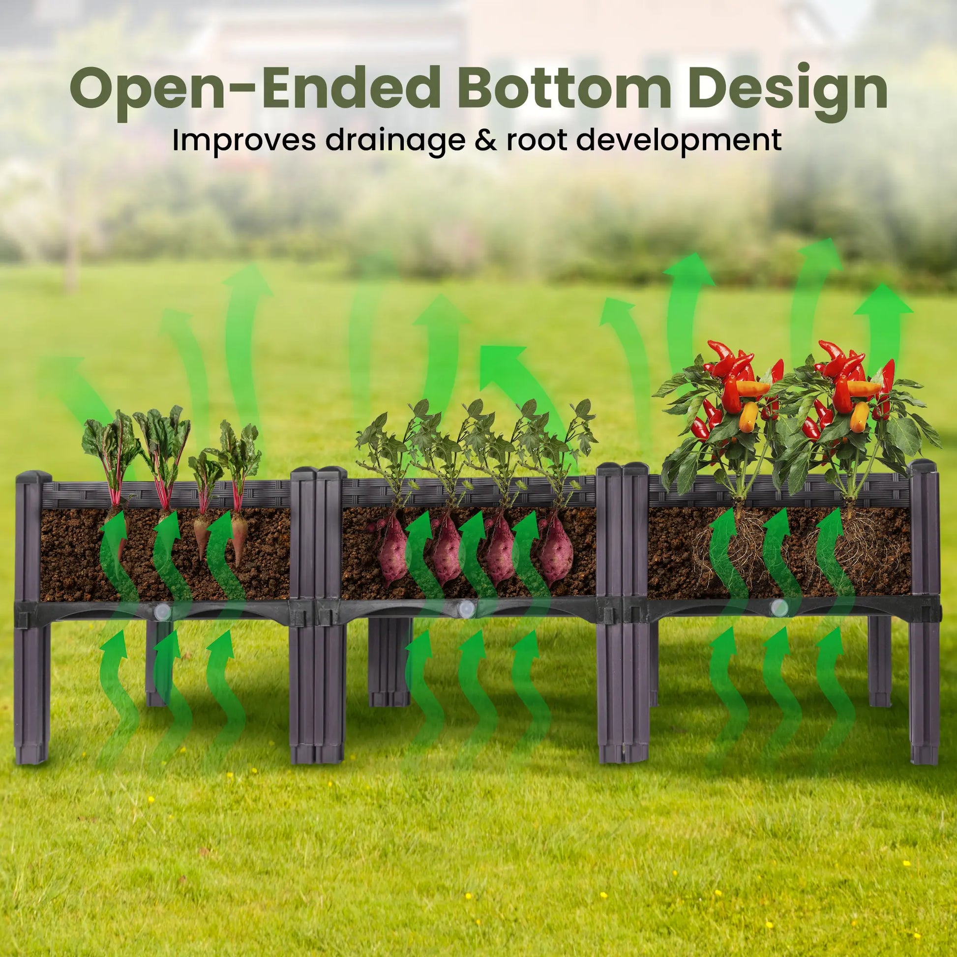 Dwellcozy plastic raised garden bed with plants, highlighting open-ended bottom design benefits.