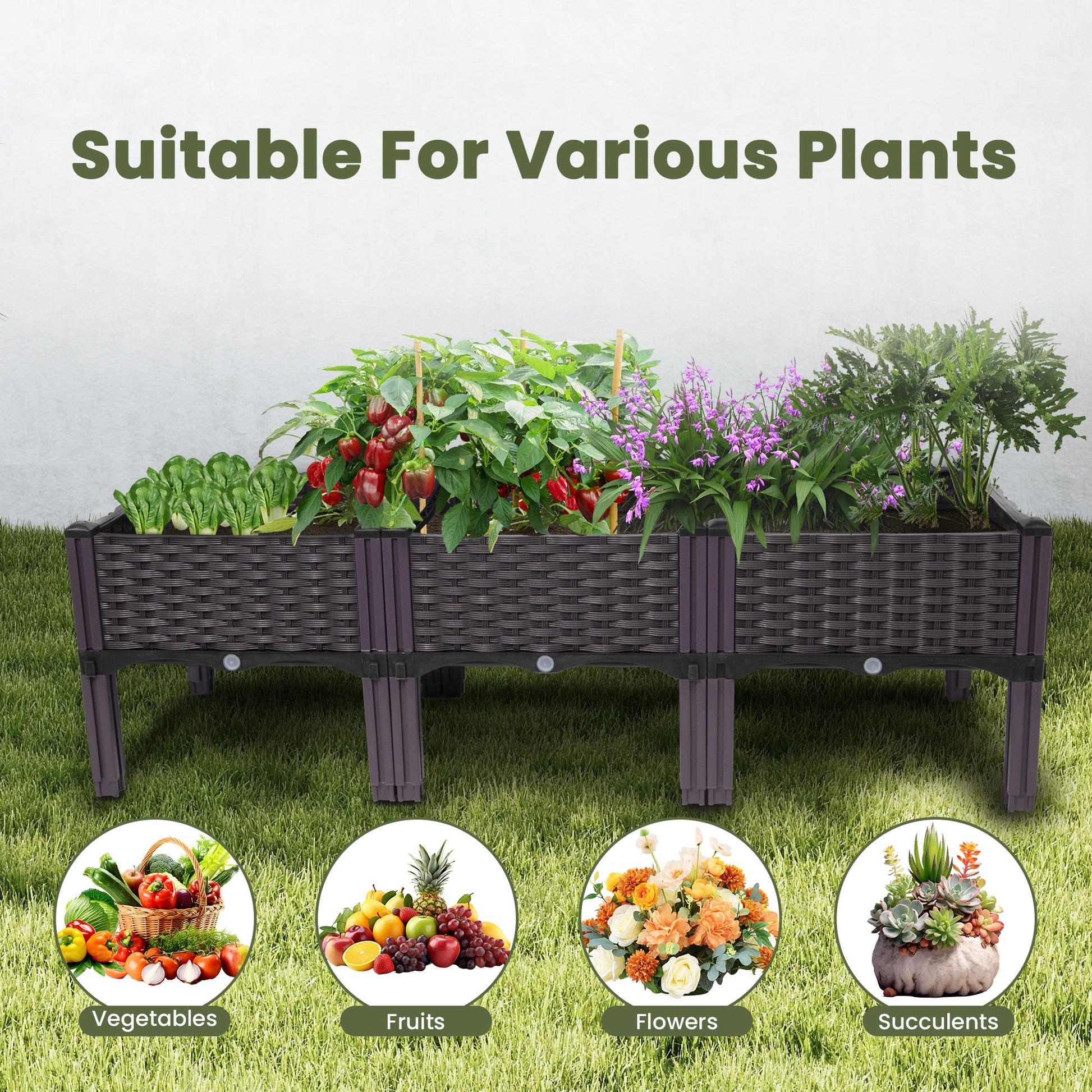 Dwellcozy plastic raised garden bed with plants on grass, suitable for various plants including vegetables, fruits, flowers, and succulents.