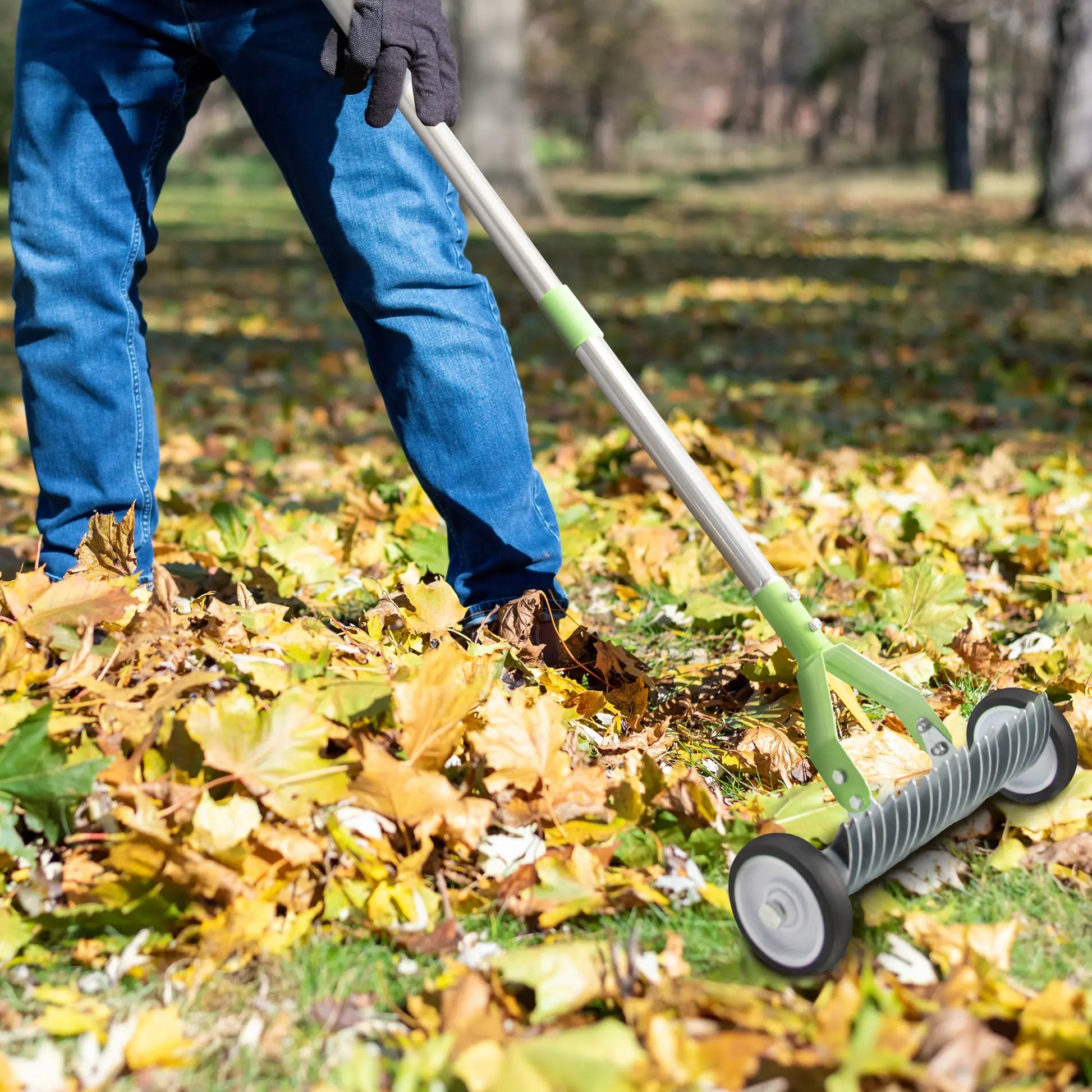 Using a Dwellcozy rolling thatch rake for Lawns to gather leaves.