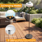 Dwellcozy Solar Outdoor Floor Lamp with Remote