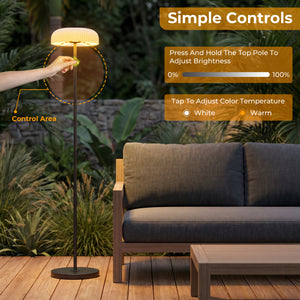 Dwellcozy Solar Outdoor Floor Lamp with Remote