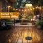 Dwellcozy Solar Outdoor Floor Lamp with Remote