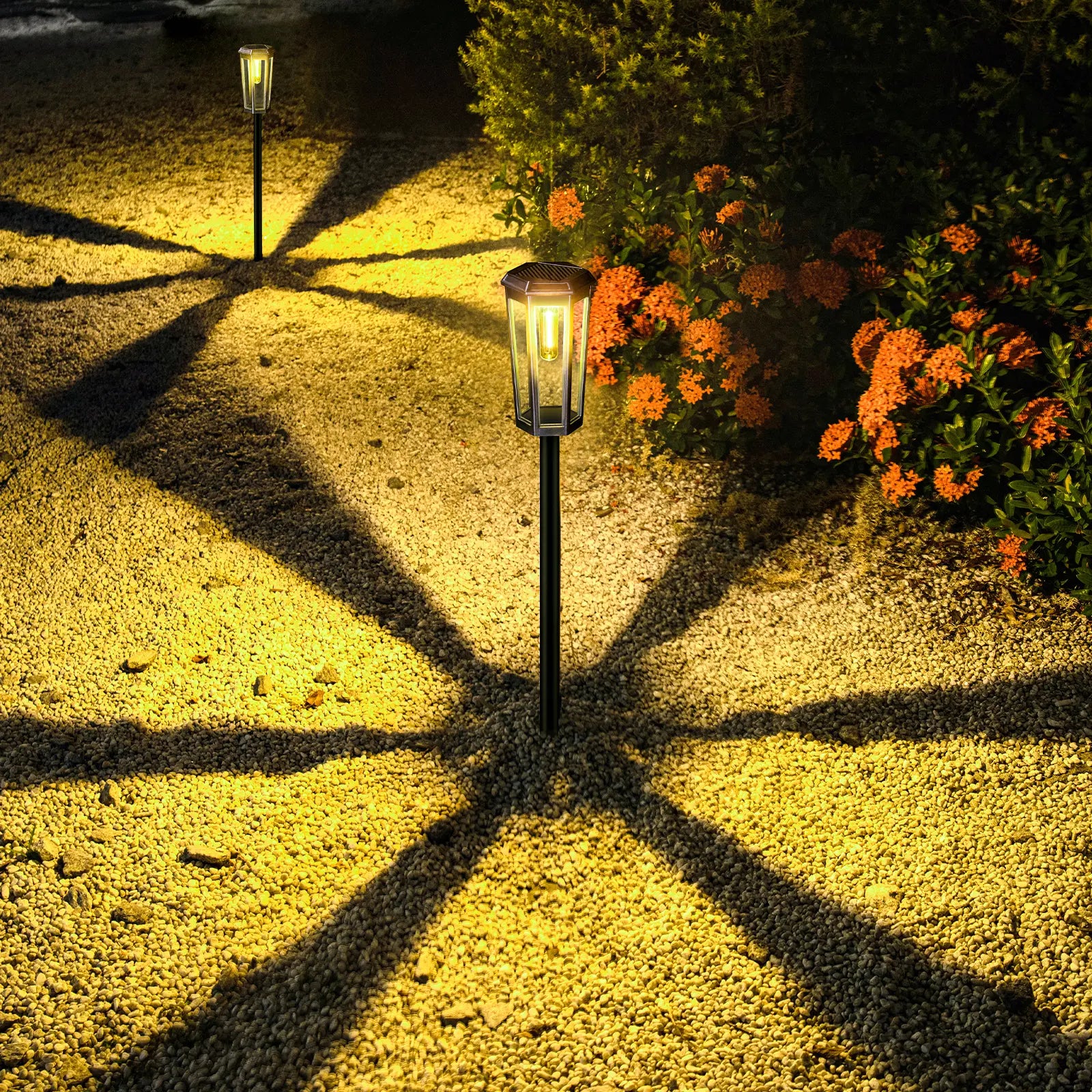 Dwellcozy outdoor solar pathway light illuminated by 2 solar-powered outdoor lights with flowers on the side.