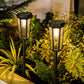 Dwellcozy solar garden lights are waterproof.