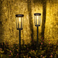 Dwellcozy solar garden light with warm lighting.